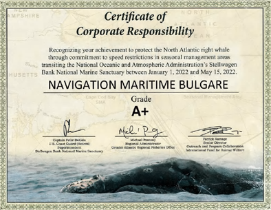 NMB_Certificate